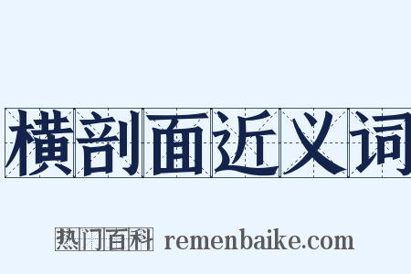 横剖面近义词是什么意思的图片